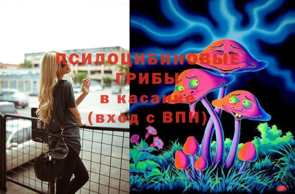 первитин Няндома