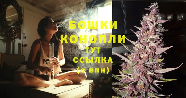 первитин Няндома