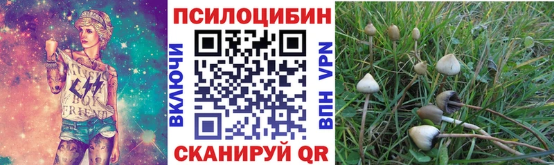 Псилоцибиновые грибы Psilocybine cubensis  Купить  Михайловск 